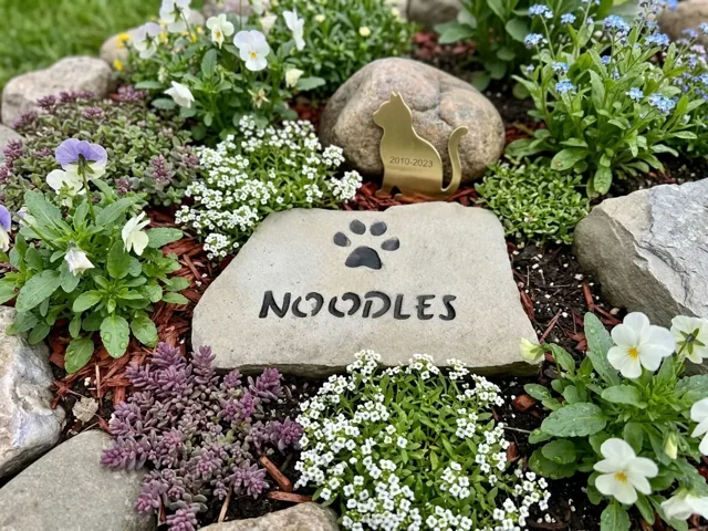 Noodles personalized pet stone