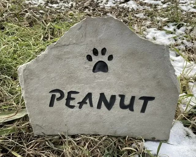 Peanut personalized pet stone